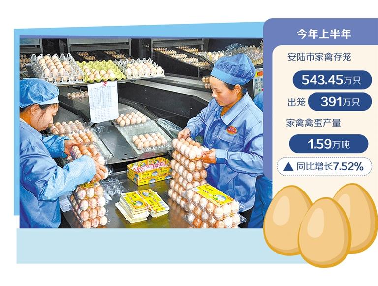 大型农村行业的卵舱口