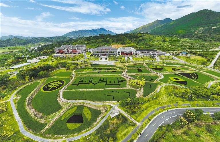 湖南省郴州市汝城县环沙洲乡村振兴共同富裕示范区，彩色稻田景色宜人。当地以沙洲村为核心，打造环沙洲“十村一社区”乡村振兴共同富裕示范区，走出了“一村一特色、村村有产业”的发展新路。朱桂花摄（中经视觉）